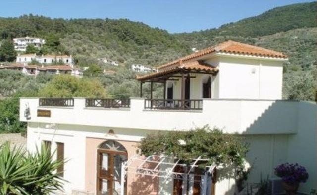Pleoussa Studio And Apartments Skopelos Town Bagian luar foto